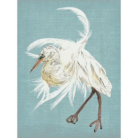 Heron Plumage IV Black Modern Wood Framed Art Print with Double Matting by Wang, Melissa