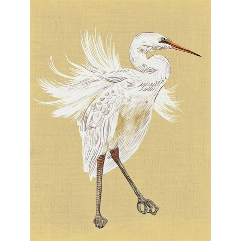 Heron Plumage V Gold Ornate Wood Framed Art Print with Double Matting by Wang, Melissa
