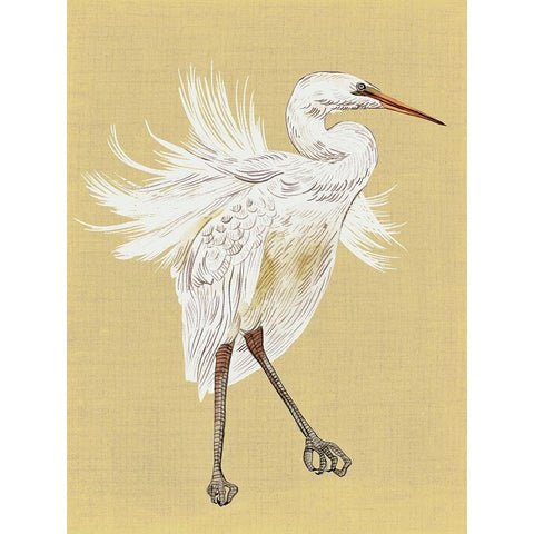 Heron Plumage V White Modern Wood Framed Art Print by Wang, Melissa