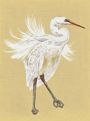 Heron Plumage V White Modern Wood Framed Art Print with Double Matting by Wang, Melissa