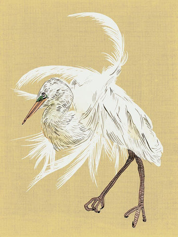 Heron Plumage VI White Modern Wood Framed Art Print with Double Matting by Wang, Melissa