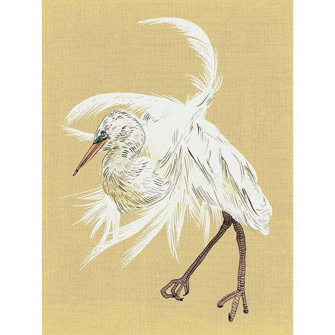 Heron Plumage VI Gold Ornate Wood Framed Art Print with Double Matting by Wang, Melissa
