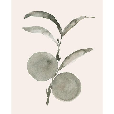 Twilight Oranges I Black Modern Wood Framed Art Print by Caroline, Emma