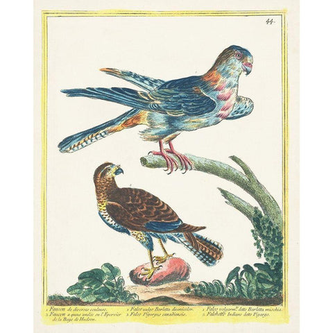 Pastel Birds III Gold Ornate Wood Framed Art Print with Double Matting by Unknown