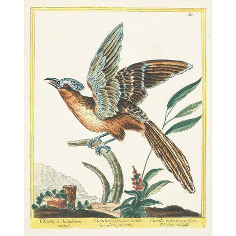 Pastel Birds IV Black Modern Wood Framed Art Print with Double Matting by Unknown