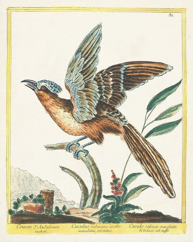 Pastel Birds IV White Modern Wood Framed Art Print with Double Matting by Unknown