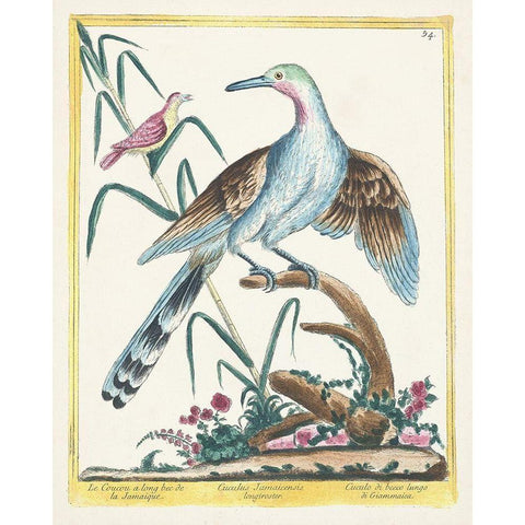 Pastel Birds V Gold Ornate Wood Framed Art Print with Double Matting by Unknown