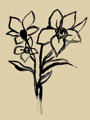 Inkwash Floral I White Modern Wood Framed Art Print with Double Matting by Vess, June Erica