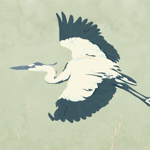 Heron Flying II White Modern Wood Framed Art Print with Double Matting by Green, Jacob