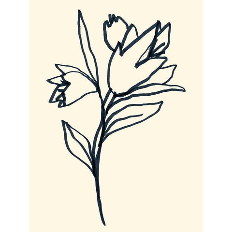 Floral Marker I Black Modern Wood Framed Art Print with Double Matting by Vess, June Erica