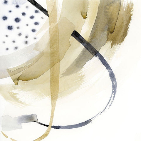 Dalmation Falls I Black Modern Wood Framed Art Print by Popp, Grace