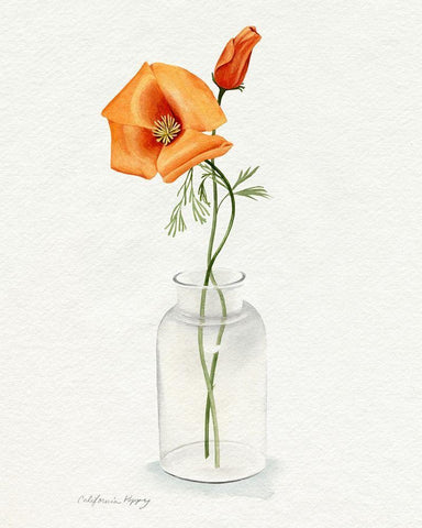 California Poppy Vase I White Modern Wood Framed Art Print with Double Matting by Popp, Grace