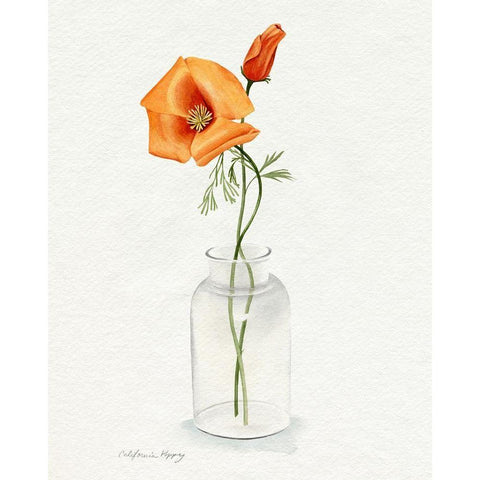 California Poppy Vase I Black Modern Wood Framed Art Print with Double Matting by Popp, Grace