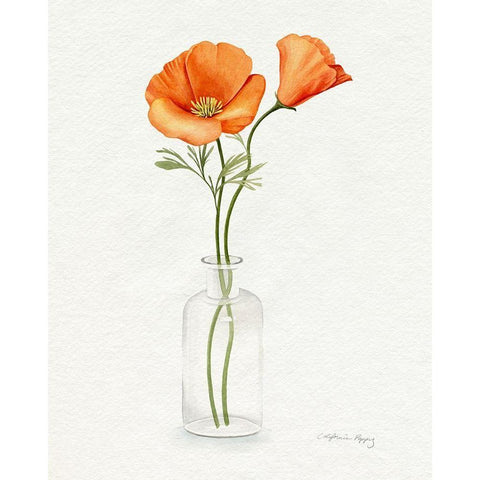 California Poppy Vase II White Modern Wood Framed Art Print by Popp, Grace