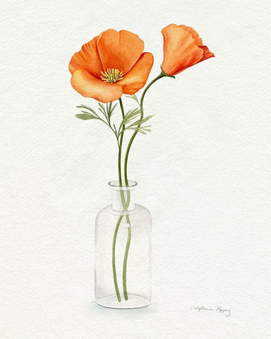 California Poppy Vase II White Modern Wood Framed Art Print with Double Matting by Popp, Grace