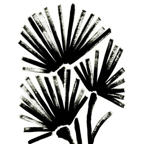 Fan Brush II Black Modern Wood Framed Art Print with Double Matting by Vess, June Erica