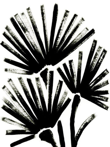 Fan Brush II White Modern Wood Framed Art Print with Double Matting by Vess, June Erica