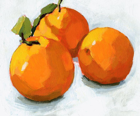 Citrus Grouping I White Modern Wood Framed Art Print with Double Matting by Barnes, Victoria