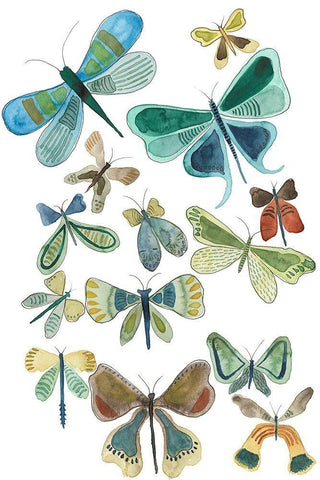 Wings Galore I White Modern Wood Framed Art Print with Double Matting by Moore, Regina