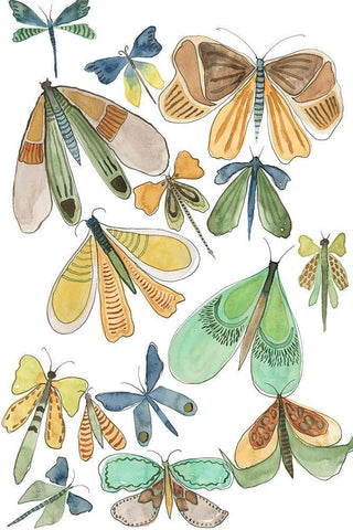 Wings Galore II White Modern Wood Framed Art Print with Double Matting by Moore, Regina