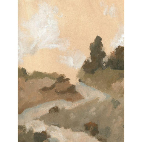 Hillside Walking Path I Black Modern Wood Framed Art Print with Double Matting by Green, Jacob