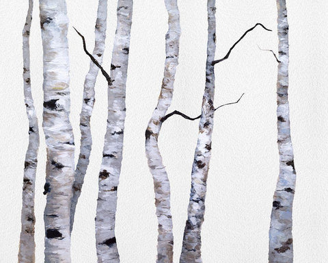 Birch Trees I White Modern Wood Framed Art Print with Double Matting by Finch, Sheila