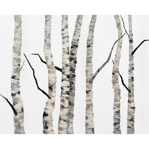 Birch Trees II Gold Ornate Wood Framed Art Print with Double Matting by Finch, Sheila