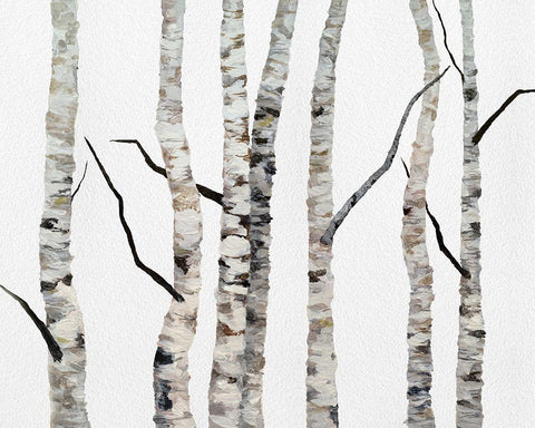 Birch Trees II White Modern Wood Framed Art Print with Double Matting by Finch, Sheila