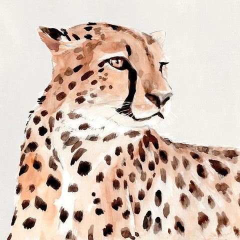 Saharan Cheetah I White Modern Wood Framed Art Print with Double Matting by Warren, Annie