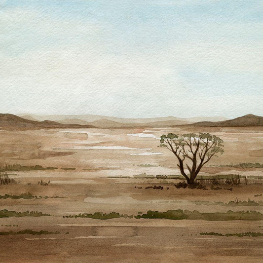 Image Only