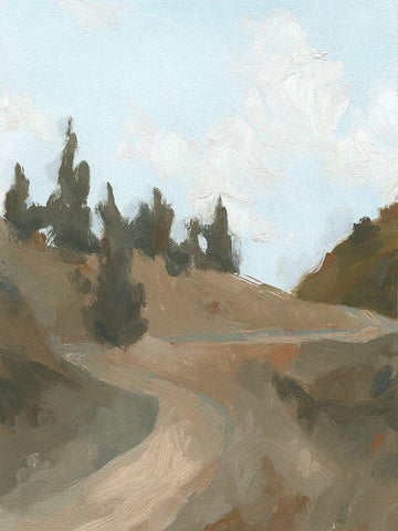West Fork Hiking Trail IV Black Ornate Wood Framed Art Print with Double Matting by Green, Jacob