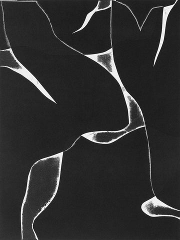 Night Bloom II White Modern Wood Framed Art Print with Double Matting by Delamater, Rob