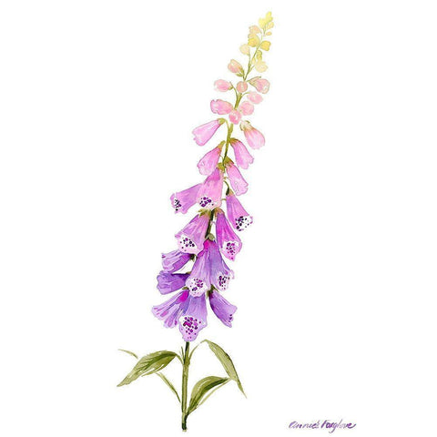 Annies Foxglove I White Modern Wood Framed Art Print by Popp, Grace