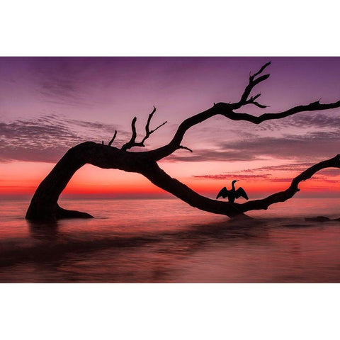 Photography Study Sunset Beach White Modern Wood Framed Art Print by PHBurchett