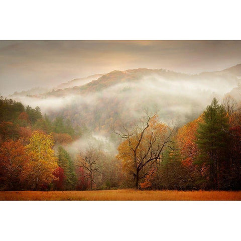 Photography Study Autumn Mist Black Modern Wood Framed Art Print with Double Matting by PHBurchett