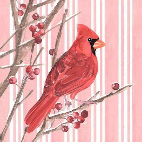 Winter Cardinal II White Modern Wood Framed Art Print with Double Matting by Warren, Annie