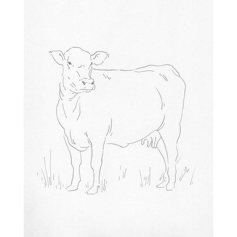 Limousin Cattle II Black Modern Wood Framed Art Print with Double Matting by Green, Jacob