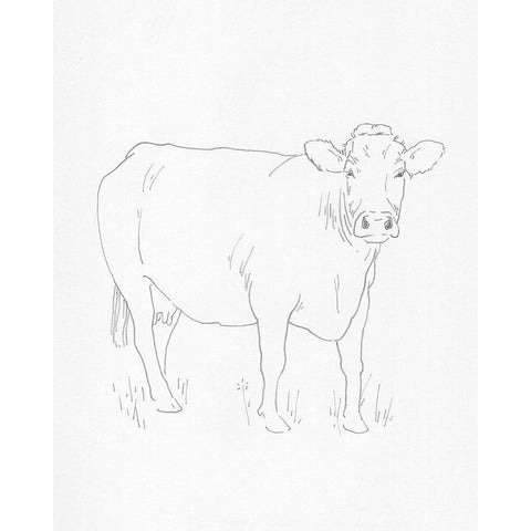 Limousin Cattle III Gold Ornate Wood Framed Art Print with Double Matting by Green, Jacob