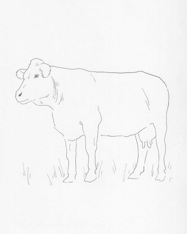 Limousin Cattle IV Black Ornate Wood Framed Art Print with Double Matting by Green, Jacob