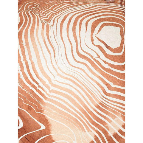 Wood Grain Suminagashi II Gold Ornate Wood Framed Art Print with Double Matting by Warren, Annie