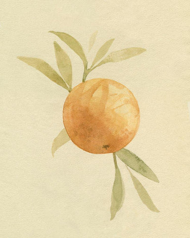 Dappled Oranges I Black Ornate Wood Framed Art Print with Double Matting by Caroline, Emma