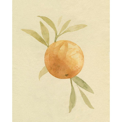 Dappled Oranges I Black Modern Wood Framed Art Print by Caroline, Emma