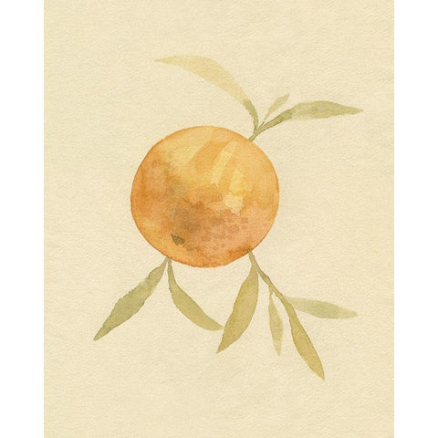 Dappled Oranges II Black Modern Wood Framed Art Print with Double Matting by Caroline, Emma