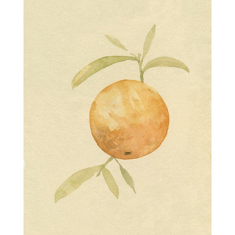 Dappled Oranges III Black Modern Wood Framed Art Print with Double Matting by Caroline, Emma