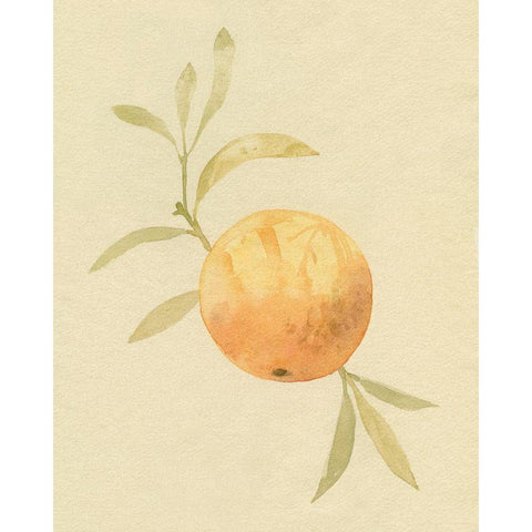 Dappled Oranges IV Black Modern Wood Framed Art Print by Caroline, Emma