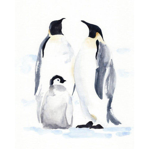 Emperor Penguins II Black Modern Wood Framed Art Print with Double Matting by Green, Jacob