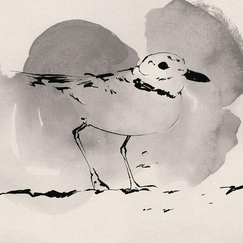 Inky Plover I White Modern Wood Framed Art Print by Green, Jacob