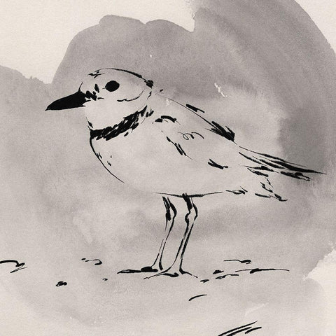 Inky Plover II White Modern Wood Framed Art Print by Green, Jacob