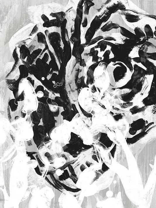 Image Only