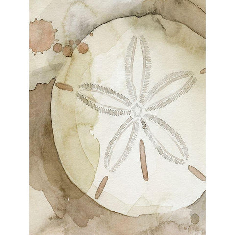 Dry Sand Dollar II Gold Ornate Wood Framed Art Print with Double Matting by Popp, Grace